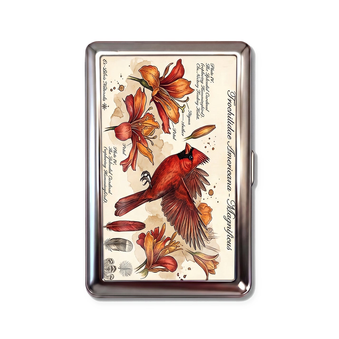 Splendid Cardinal Tin Cardholder Wallet